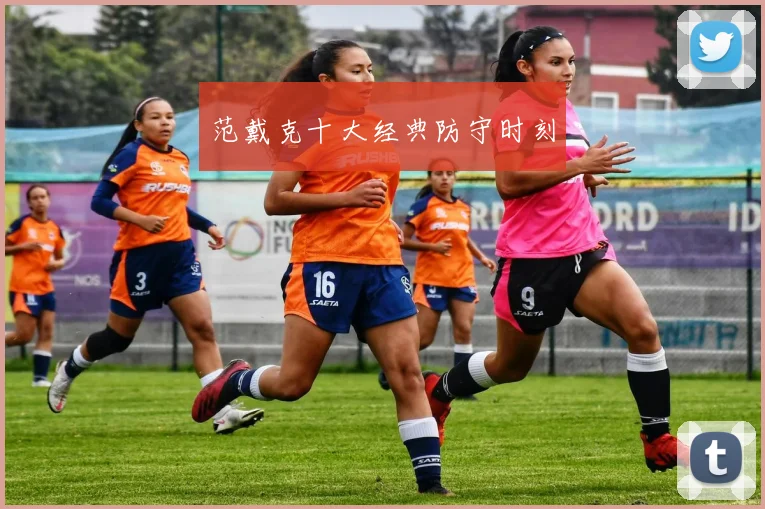 范戴克十大经典防守时刻