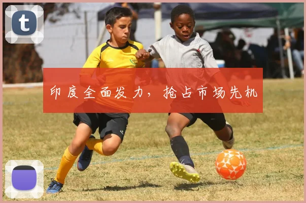 印度全面发力,抢占市场先机