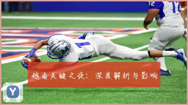 越南关键之夜:深度解析与影响