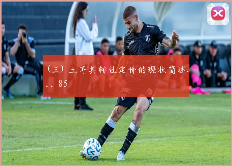 (三) 土耳其转让定价的现状简述... 85