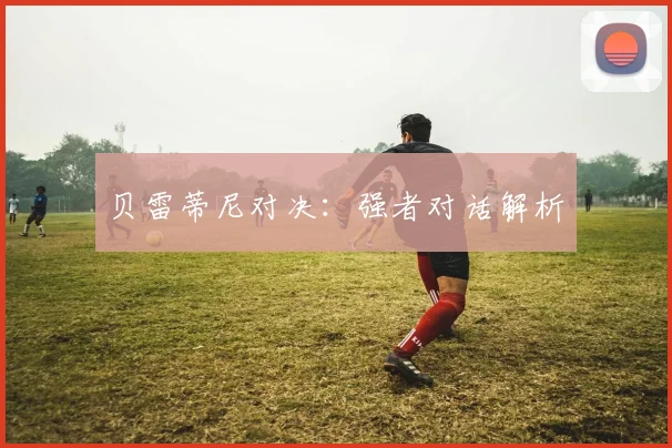 贝雷蒂尼对决:强者对话解析