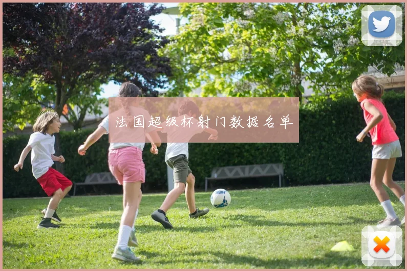法国超级杯射门数据名单