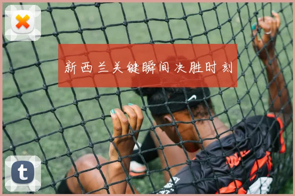 新西兰关键瞬间决胜时刻