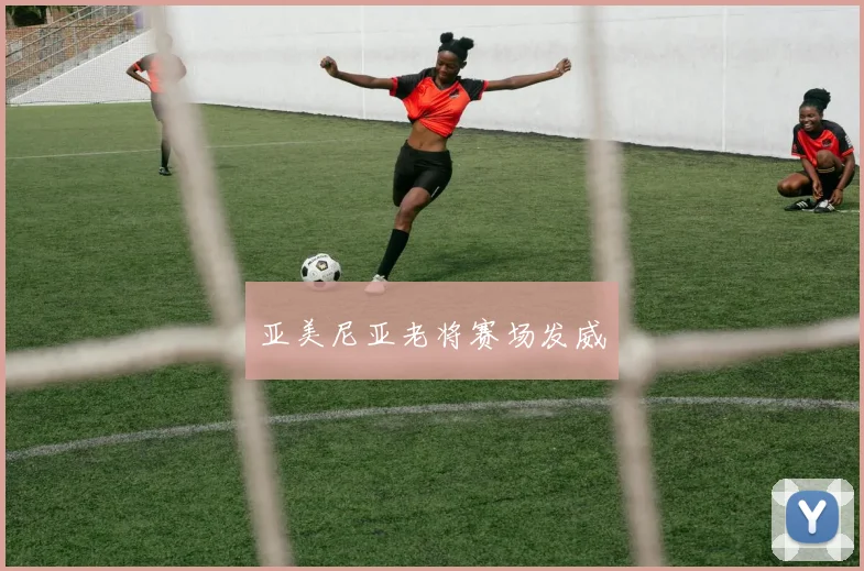 亚美尼亚老将赛场发威