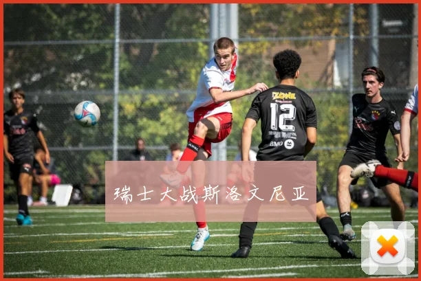 瑞士大战斯洛文尼亚