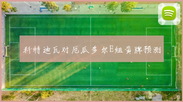 科特迪瓦对厄瓜多尔E组黄牌预测