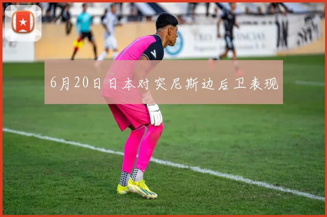 6月20日日本对突尼斯边后卫表现