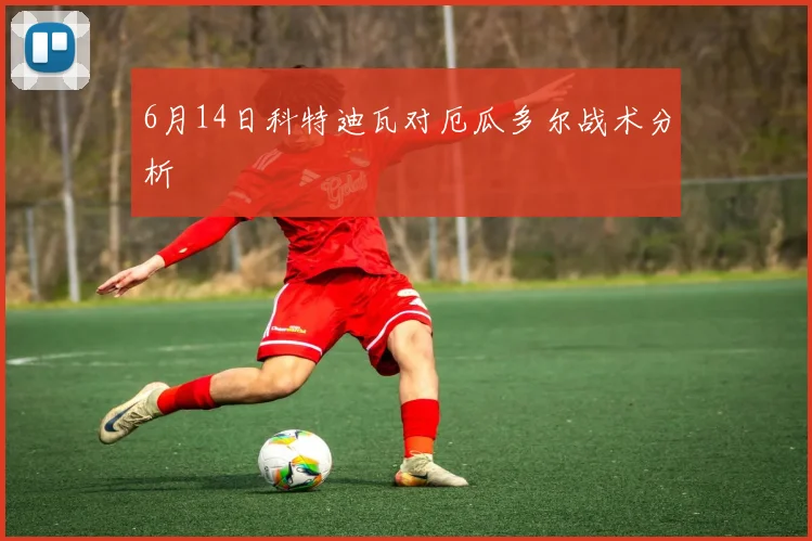 6月14日科特迪瓦对厄瓜多尔战术分析